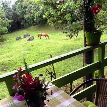 Mindo Eco Chalet Con Rio Y Cascada Exterior photo