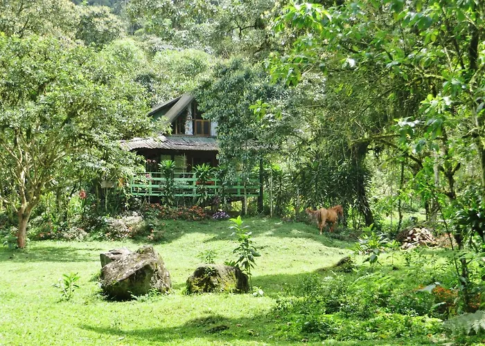 Mindo Eco Chalet Con Rio Y Cascada