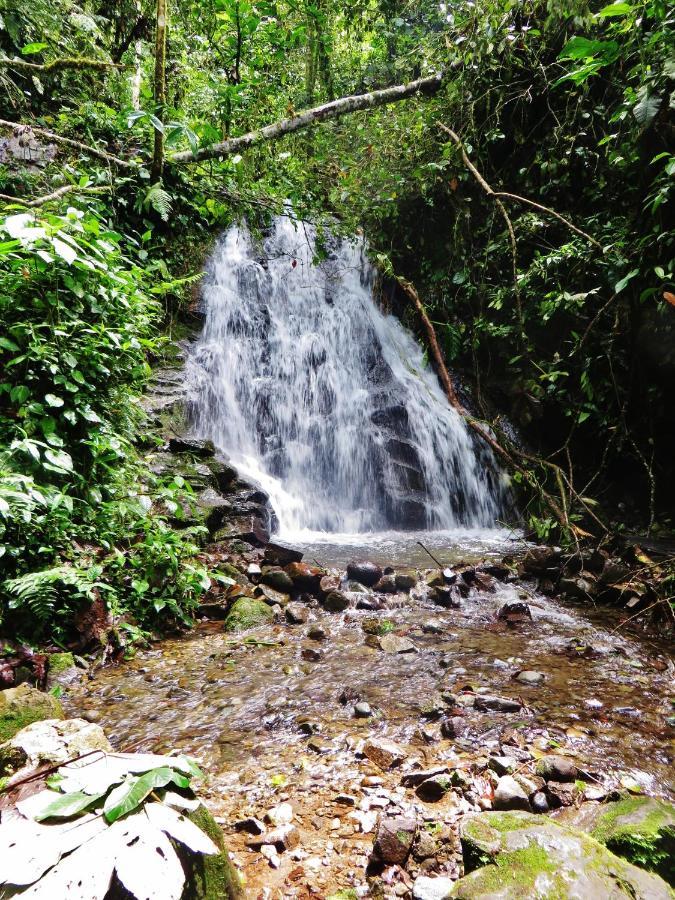 Holiday home Eco Con Rio Y Cascada *