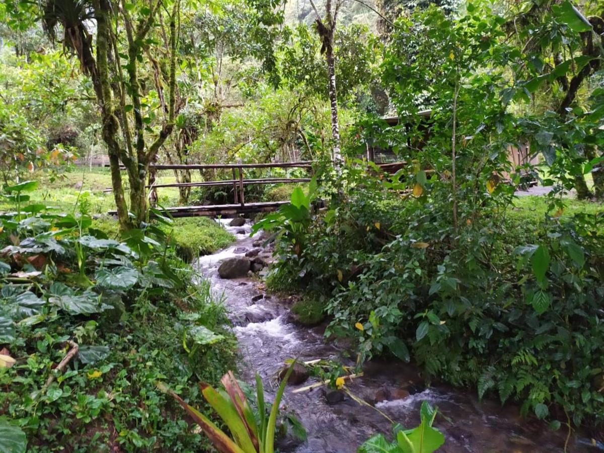 Eco Con Rio Y Cascada Holiday home