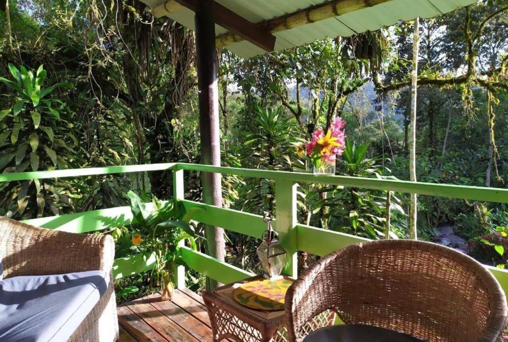 Eco Con Rio Y Cascada Holiday home