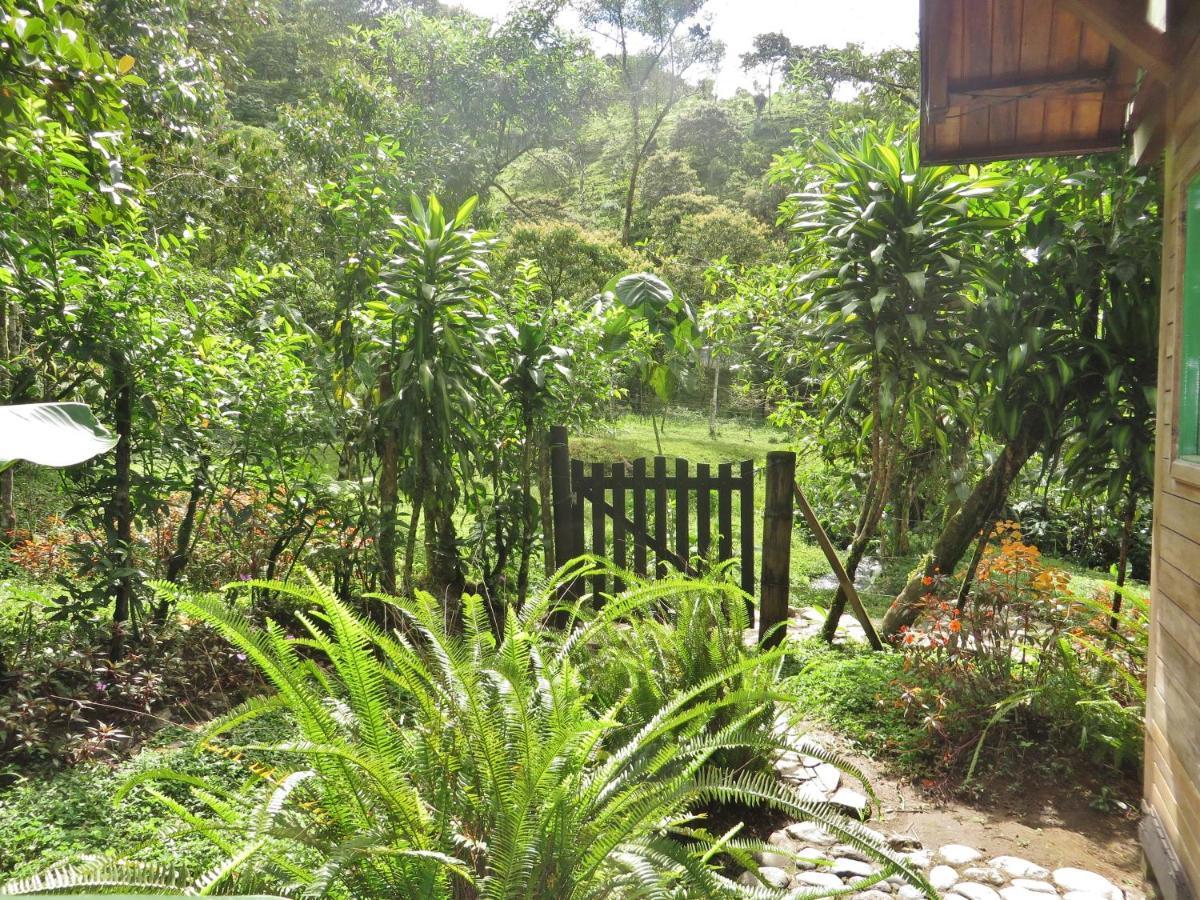 Holiday home Eco Con Rio Y Cascada