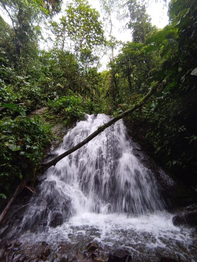 Eco Con Rio Y Cascada * Mindo