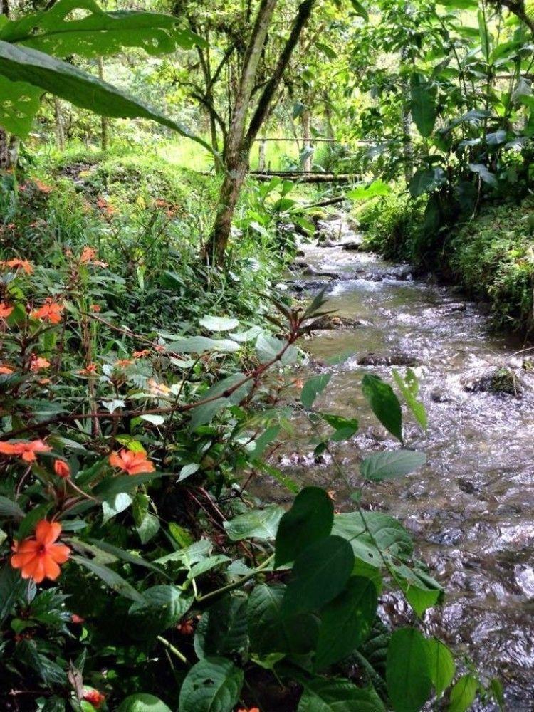 Eco Con Rio Y Cascada Holiday home Mindo