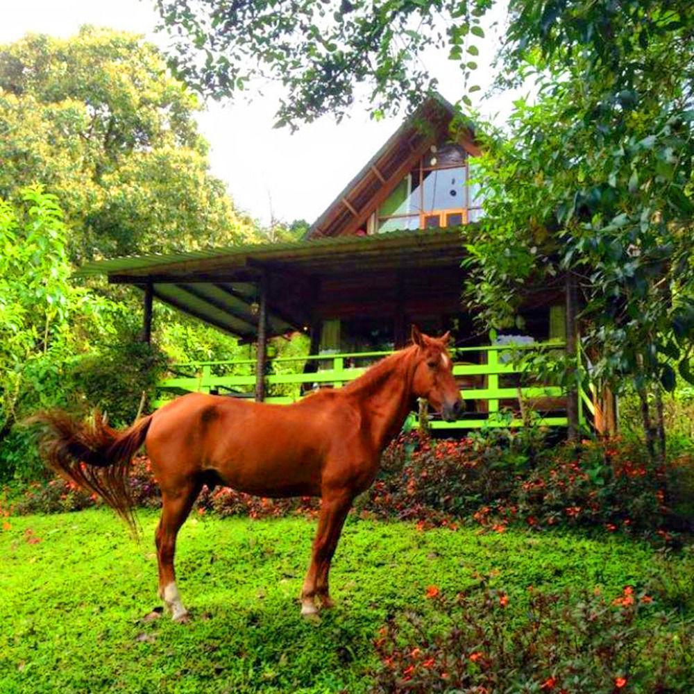 Eco Con Rio Y Cascada Holiday home Mindo