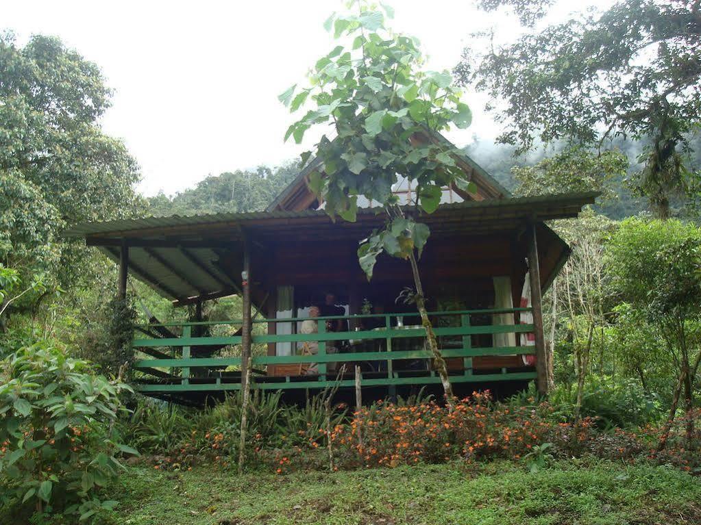Eco Con Rio Y Cascada * Mindo