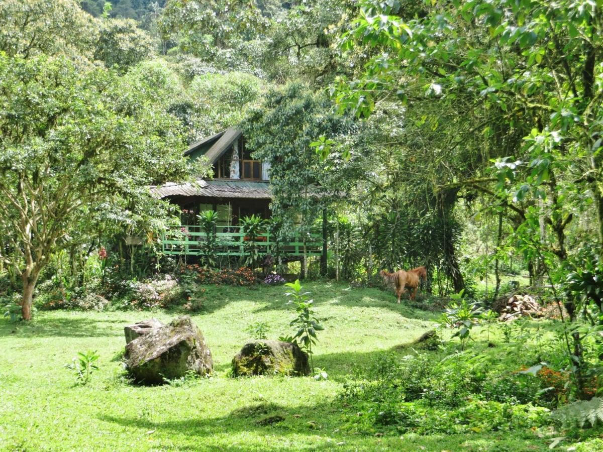 Holiday home Eco Con Rio Y Cascada Mindo