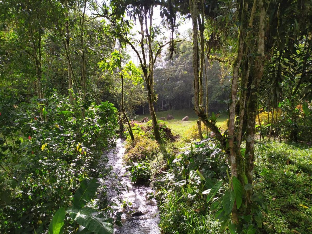 Eco Con Rio Y Cascada Holiday home Mindo