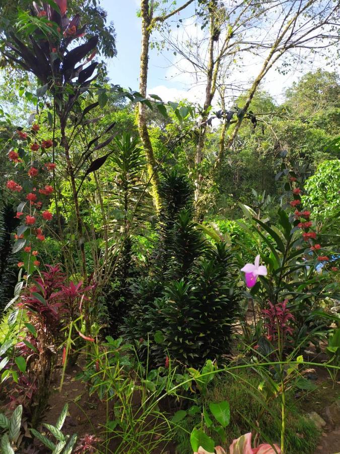 Holiday home Eco Con Rio Y Cascada